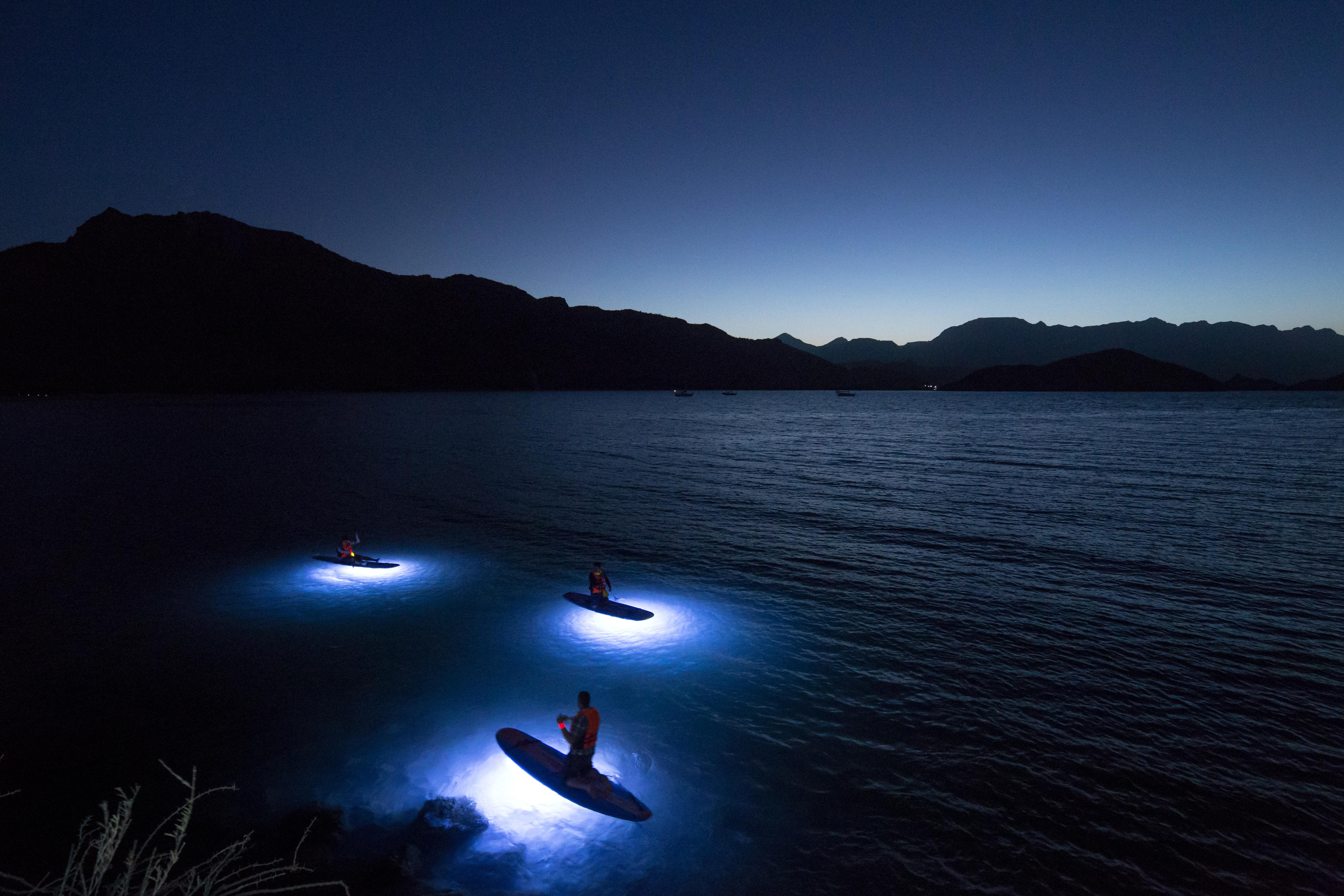 Villa Del Palmar At The Islands Of Loreto Лорето Экстерьер фото